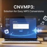 CNVMP3