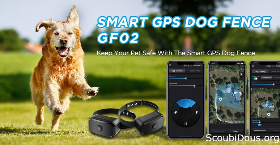 What Is a GPS Dog Collar Fence